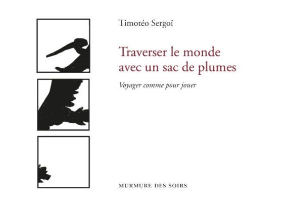 Sortie du nouveau roman de Timotéo Sergoï