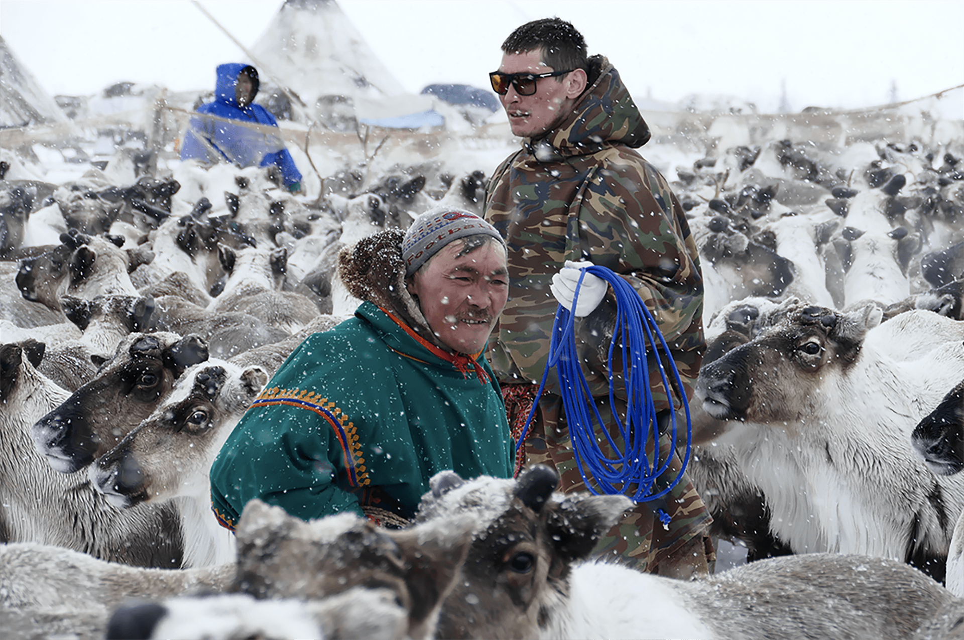 Carnet de voyage : Chez les nenets du Yamal, Sibérie, Jacques Ducoin, photographies