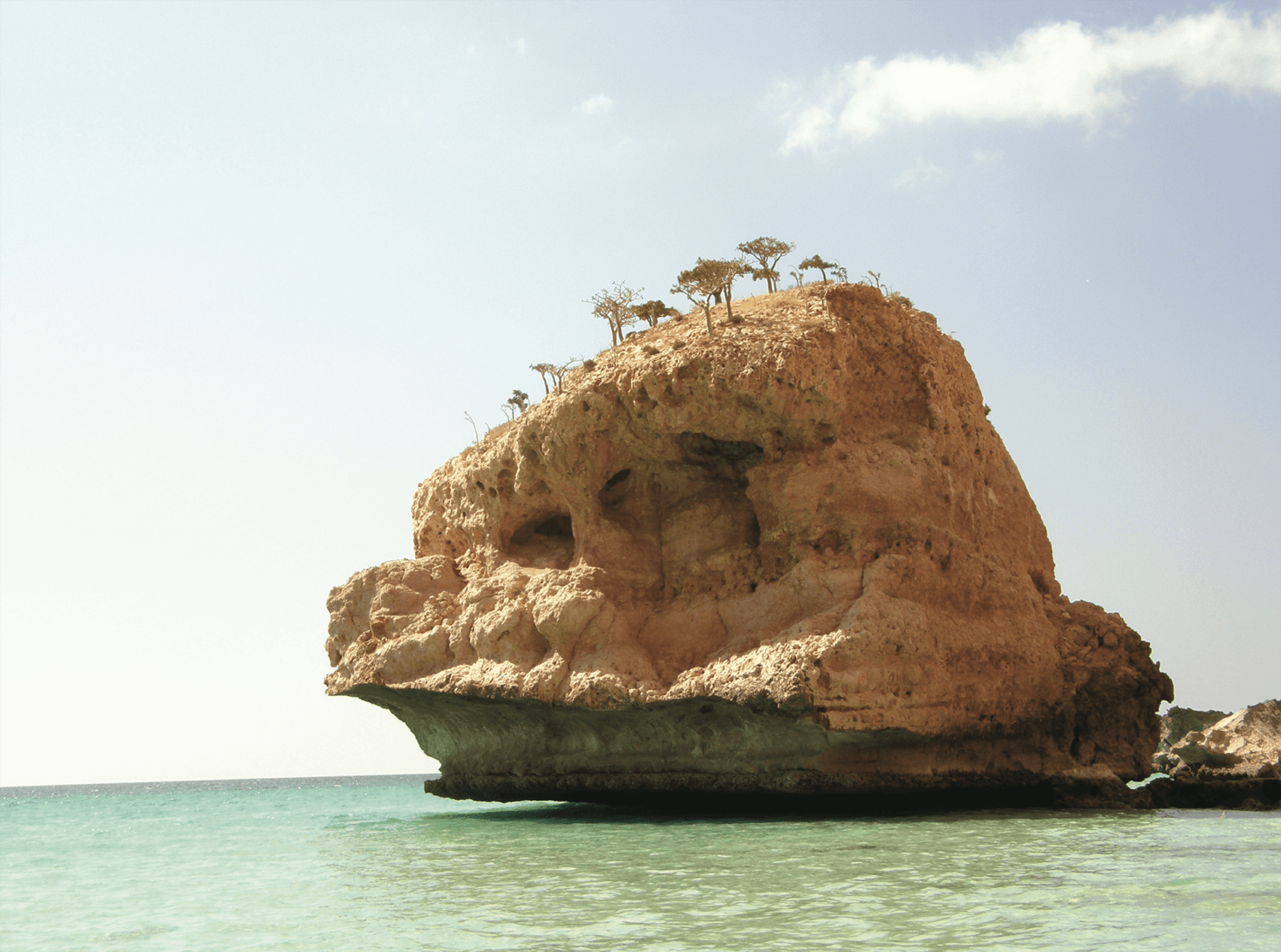 Carnet de voyage : Lîle de Socotra, une autre planète - Antoine Calvino - Bouts du monde