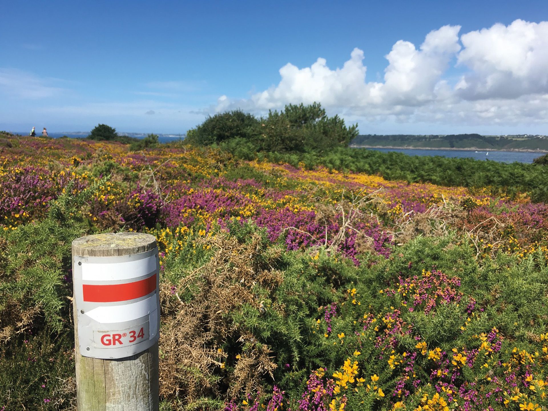 Carnet de voyage en Finistère - Bouts du monde