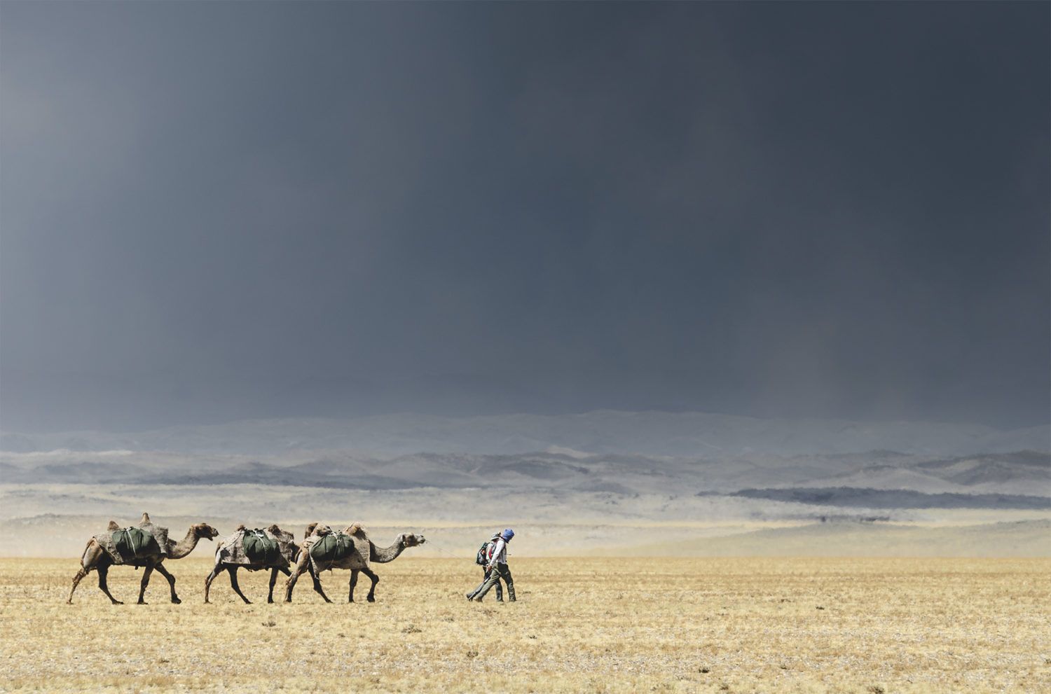 Une caravane dans le désert de Gobi
