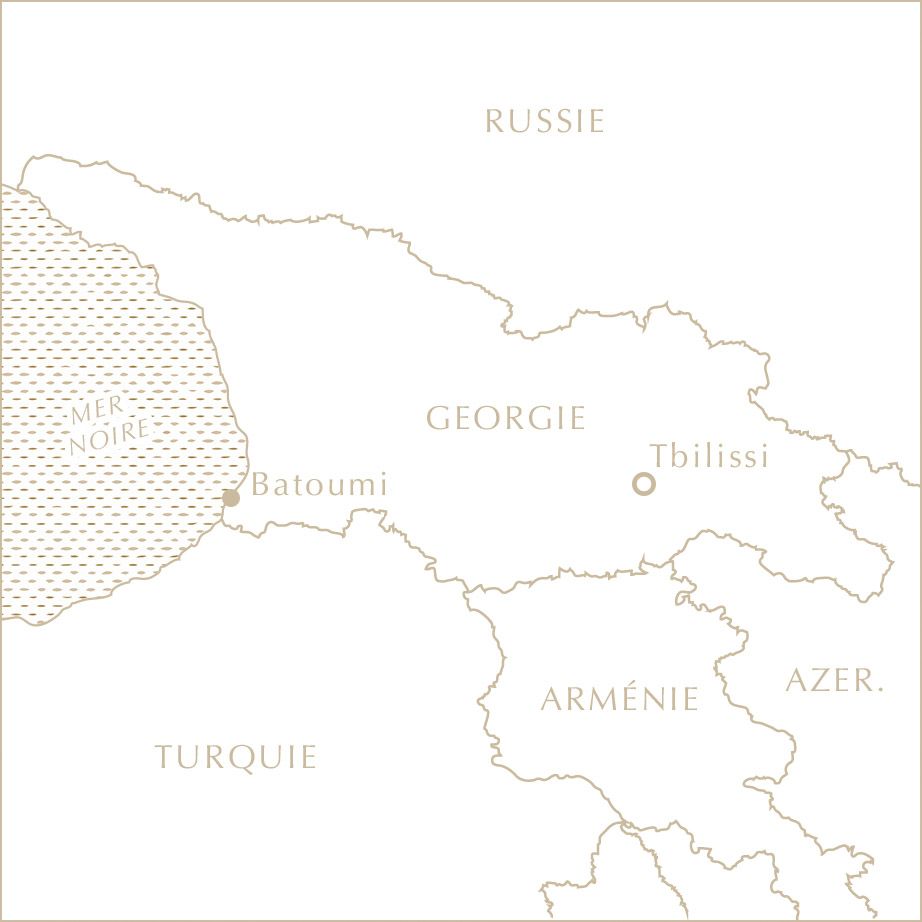 Carte Géorgie