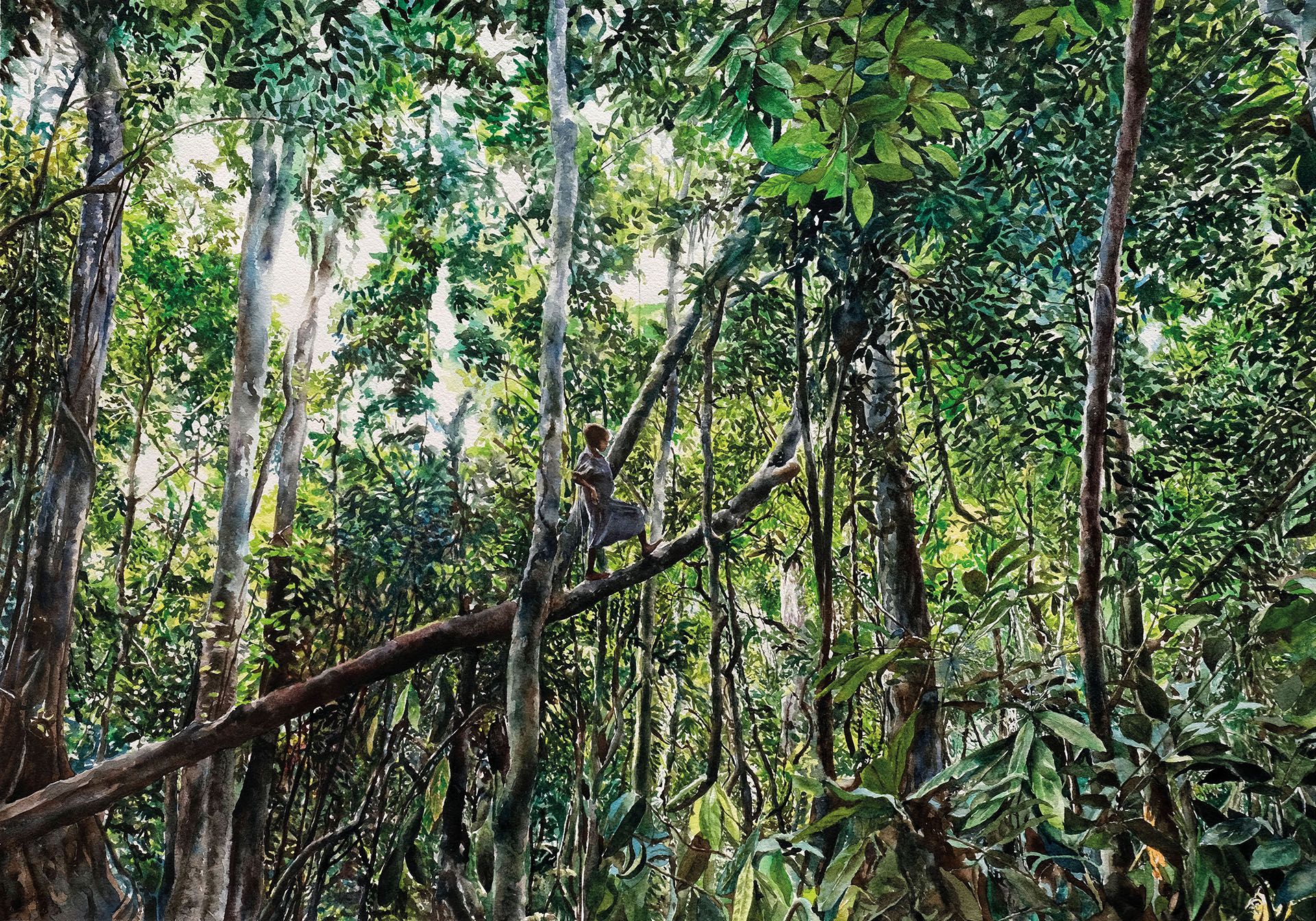 Carnet de voyage de Jean-Paul Rousseau, voyage au rythme de la jungle au cœur de la République démocratique du Congo.