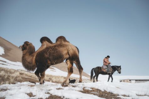 Théo Saffroy - les chameliers du Tian Shan - Carnets de voyage