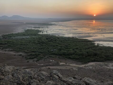 Fouiller le désert à Oman par Christophe Sévin