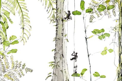 Expédition de l'entomologiste Nicolas Moulin en Guadeloupe